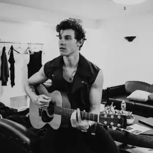 Shawn Mendes - The Only Reason I Came To The Party